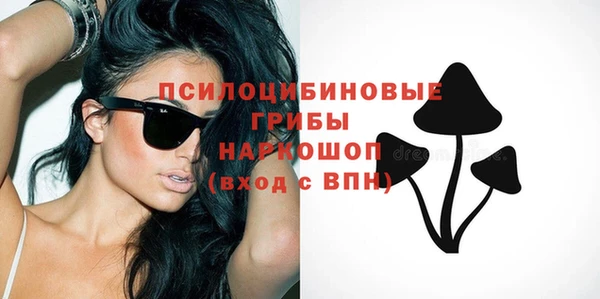 ПСИЛОЦИБИНОВЫЕ ГРИБЫ Заволжск