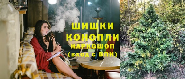 ПСИЛОЦИБИНОВЫЕ ГРИБЫ Заволжск