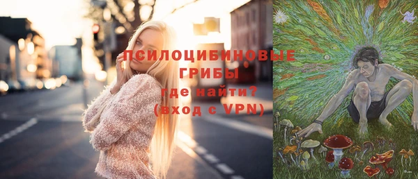 ПСИЛОЦИБИНОВЫЕ ГРИБЫ Заволжск