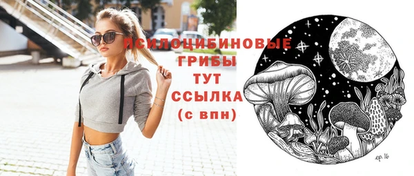 ПСИЛОЦИБИНОВЫЕ ГРИБЫ Заволжск